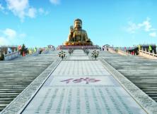 龍口南山純玩一日游