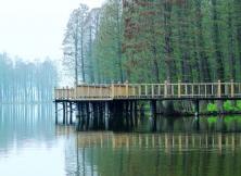 【9月游江南】揚州水上森林公園雙飛3日游 【9月游江南】揚州水上森林公園雙飛3日游