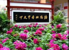 【三月游云臺山】河南云臺山紅石峽、潭瀑峽、茱萸峰、神州牡丹園、少林寺富貴花開雙飛三日游