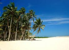 【11月游海南】海南呀諾達熱帶雨林、西島、夜游三亞灣全景海南雙飛六日游