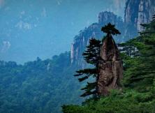 【春節(jié)假期】大美黃山+徽州古村落西遞+木坑竹海+千島湖+婺源篁嶺+屯溪老街 純玩雙飛六日游