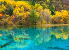 (開業促銷)---成都.米亞羅紅葉區.九寨溝.黃龍 雙飛雙動8日游 (開業促銷)---成都.米亞羅紅葉區.九寨溝.黃龍 雙飛雙動8日游