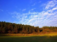 重慶好時光 —天生三橋、仙女山、黑山谷、半自由五天四晚 重慶好時光 —天生三橋、仙女山、黑山谷、半自由五天四晚