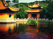 心觸動——普陀四日游 心觸動——普陀四日游