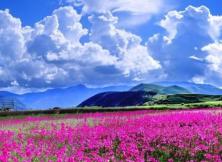 隱覓*悅榕莊”昆大麗三飛六游 隱覓*悅榕莊”昆大麗三飛六游