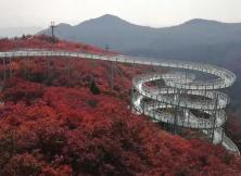 【2021五一假期】淄博紅葉柿巖*開元溶洞*領尚琉璃園精品二日游 【2021五一假期】淄博紅葉柿巖*開元溶洞*領尚琉璃園精品二日游