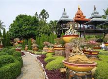 【煙臺春節】清邁玫瑰雙城6日深度游 【煙臺春節】清邁玫瑰雙城6日深度游