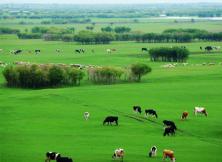 哈爾濱滿洲里長白山呼倫貝爾大草原撫順空調10日