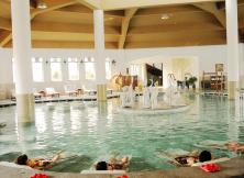 開業(yè)特促~白鷺湖溫泉一日游