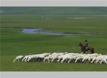 【赤峰草原】貢格爾、達里諾爾湖、渾善達克沙地雙飛五日游
