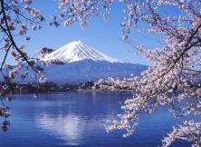 日本本州伊豆雙溫泉美食6日游 日本本州伊豆雙溫泉美食6日游