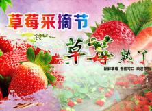 采摘 ：有機蔬菜+草莓 采摘一日游