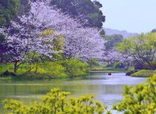 華五+烏鎮、定園、木瀆、西湖之夜雙飛六日游