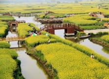 【2021清明假期】揚州瘦西湖+東關街+泰州老街+千垛油菜花(含游船)+李中水上森林(含游船)賞花純玩三日游 【2021清明假期】揚州瘦西湖+東關街+泰州老街+千垛油菜花(含游船)+李中水上森林(含游船)賞花純玩三日游