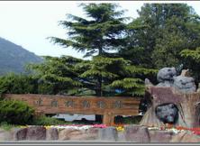 【端午節(jié)親子系列】大連、森林動(dòng)物園（1+2期）、發(fā)現(xiàn)王國(guó)  半自助游4日游