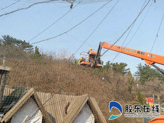 工人正在進行換網工作