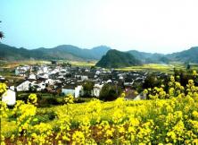 【三月線路】杭州 西塘夜色 水鄉烏鎮純玩四日游 【三月線路】杭州 西塘夜色 水鄉烏鎮純玩四日游