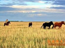 呼倫貝爾大草原、根河濕地、猛瑪像公園、邊城滿洲里超值雙飛五日游 呼倫貝爾大草原、根河濕地、猛瑪像公園、邊城滿洲里超值雙飛五日游