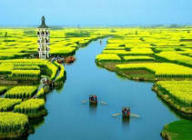 千島油菜花海大巴三日游 千島油菜花海大巴三日游