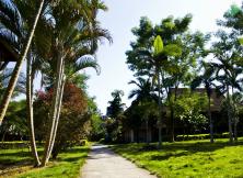 昆明大理麗江版納四飛八日游