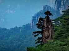 【7月游黃山】醉美婺源+險秀黃山+桃花源里西遞+第一秀水千島湖、湖光山色純玩雙飛5日游 【7月游黃山】醉美婺源+險秀黃山+桃花源里西遞+第一秀水千島湖、湖光山色純玩雙飛5日游