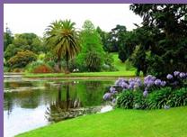 嘉華旅游(開業促銷)----礁澳群雄--澳新凱墨海陸空12日游 嘉華旅游(開業促銷)----礁澳群雄--澳新凱墨海陸空12日游