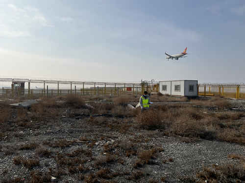 烏機場分公司飛行區管理部開展跑道東端專項生態調研工作 烏機場分公司飛行區管理部開展跑道東端專項生態調研工作