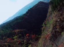 【6月】長白山西北連坡+丹東河口斷橋+鴨綠江+朝鮮民族村 【6月】長白山西北連坡+丹東河口斷橋+鴨綠江+朝鮮民族村