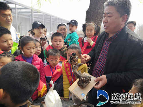 膠東地區(qū)常見鳥類科普講座是今年愛鳥宣傳活動的重頭戲