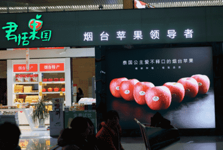 煙臺蘋果論個賣 一個20元供不應求 煙臺蘋果論個賣 一個20元供不應求