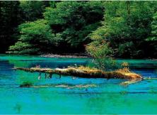 九寨:成都九寨溝黃龍雙飛6日游 九寨:成都九寨溝黃龍雙飛6日游