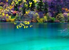 成都、九寨、黃龍、都江堰、青城山、樂山、峨眉山雙飛8日游