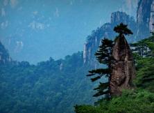 【11月游黃山】大美黃山+九華山 +西遞+塔川秋色+千島湖+屯溪老街山水九華純玩雙飛六日游 【11月游黃山】大美黃山+九華山 +西遞+塔川秋色+千島湖+屯溪老街山水九華純玩雙飛六日游