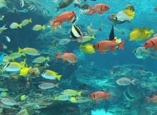 端午節：威海海底世界純玩一日游