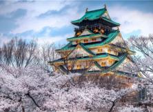 日本豪華雙飛6日游(東阪) 日本豪華雙飛6日游(東阪)