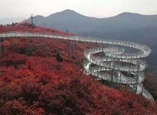 【2021端午假期】淄博紅葉柿巖*開元溶洞*領尚琉璃園精品二日游 【2021端午假期】淄博紅葉柿巖*開元溶洞*領尚琉璃園精品二日游