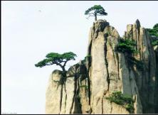 【7月游婺源】醉美婺源+險秀黃山+桃花源里西遞+第一秀水千島湖、湖光山色純玩雙飛六日游