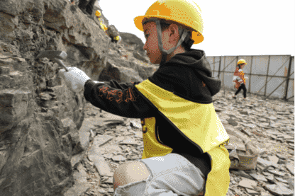 疑似“新物種”化石現身萊陽白堊紀研學現場1120