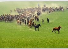 貢格爾草原、渾善達克沙地、阿斯哈圖石林、白音敖包、達里諾爾湖、西拉沐淪河漂流、赤峰博物館單動單飛親子五日游