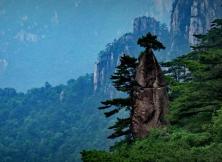 【2021清明假期】險秀黃山+桃花源里西遞+石林純玩雙飛四日游 【2021清明假期】險秀黃山+桃花源里西遞+石林純玩雙飛四日游