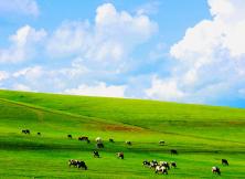 承德避暑山莊. 烏蘭布統(tǒng)大草原+塞罕壩森林.小布達(dá)拉宮.界河單飛四日游 承德避暑山莊. 烏蘭布統(tǒng)大草原+塞罕壩森林.小布達(dá)拉宮.界河單飛四日游