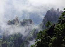 【春節假期】大美黃山+西遞+木坑竹海+宏村+婺源+屯溪老街 純玩雙飛休閑四日游 【春節假期】大美黃山+西遞+木坑竹海+宏村+婺源+屯溪老街 純玩雙飛休閑四日游