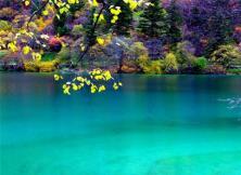 【大美四川】成都九寨黃龍雙飛六日游 【大美四川】成都九寨黃龍雙飛六日游