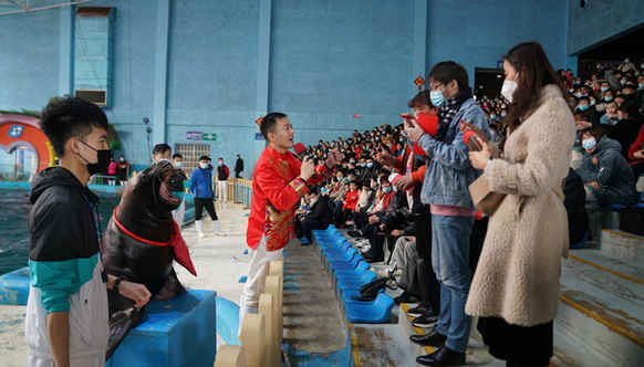 虎年“萊”蓬玩點不一樣！八仙過海度假區(qū)春節(jié)活動先劇透