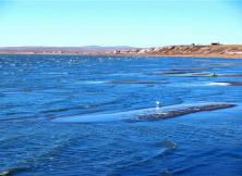 海拉爾:根河濕地 呼倫貝爾 雙飛六日游 海拉爾:根河濕地 呼倫貝爾 雙飛六日游