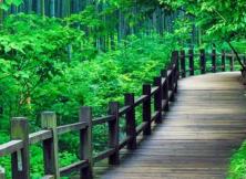 【國慶假期】無錫黿頭渚、水鄉木瀆周莊烏鎮、杭州宋城千古情、上海環博金融中心夜艷江南雙飛五日游 【國慶假期】無錫黿頭渚、水鄉木瀆周莊烏鎮、杭州宋城千古情、上海環博金融中心夜艷江南雙飛五日游