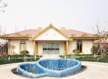 青島世園會一日游