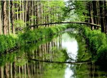 【春節(jié)假期】興化李中水上森林、揚州瘦西湖、何園、 泰州梅苑、皮包水早茶精品大巴三日游 【春節(jié)假期】興化李中水上森林、揚州瘦西湖、何園、 泰州梅苑、皮包水早茶精品大巴三日游