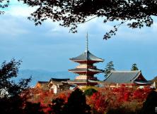 日本本州純玩豪華雙飛六日游