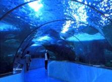 蓬萊海底世界+長島漁家樂休閑二日游 (天天發) 蓬萊海底世界+長島漁家樂休閑二日游 (天天發)